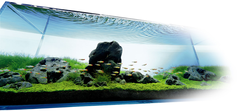 http://www.adana.co.jp/catalog/includes/languages/english/html_includes/ADA Nature Aquarium/images/mainimage.jpg